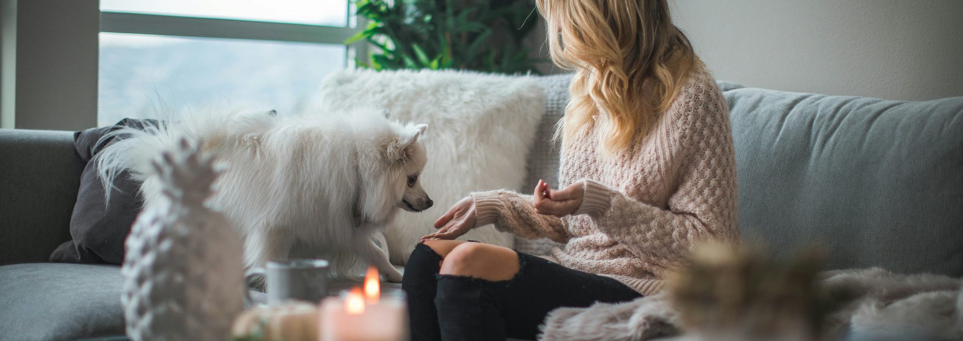 woman sitting on sofa while holding food for dog