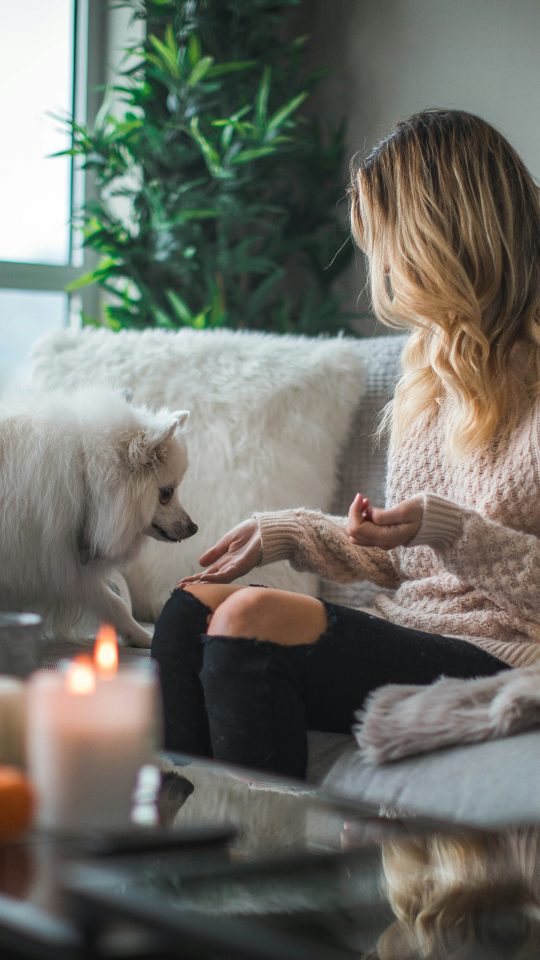 woman sitting on sofa while holding food for dog